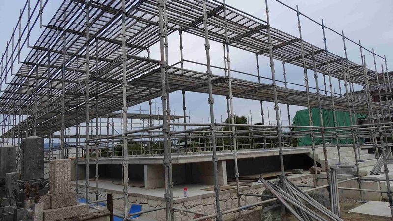 如何根据项目需求精准选择园林绿化苗木品种**